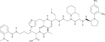 Dnp-P-Cha-G-Cys(Me)-HA-K(Nma)-NH2  Chemical Structure