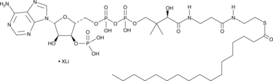 Heptadecanoyl Coenzyme A (lithium salt) Chemische Struktur