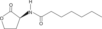 N-heptanoyl-L-Homoserine lactone 化学構造
