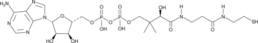 3'-Dephosphocoenzyme A  Chemical Structure