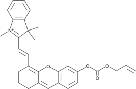 CAY10737  Chemical Structure