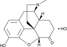 Hydromorphone (hydrochloride) 化学構造