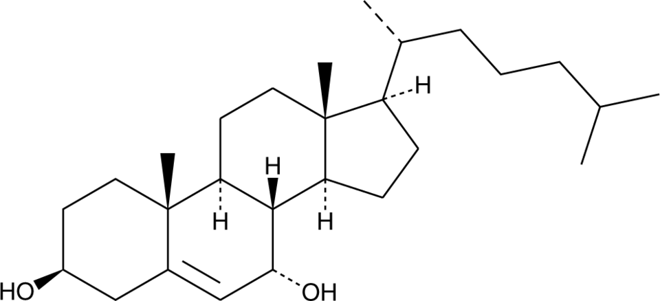 7α-hydroxy Cholesterol 化学構造