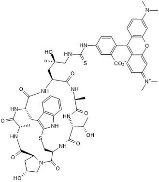 Phalloidin-TRITC Chemical Structure