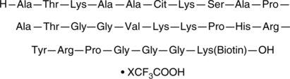 Histone H3 (Citrullinated R26) (21-44)-GGK-biotin Peptide (trifluoroacetate salt)  Chemical Structure