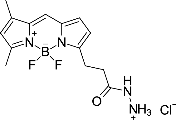 BDP FL hydrazide Chemical Structure