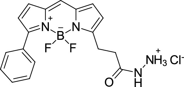 BDP R6G hydrazide Chemical Structure