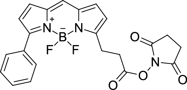 BDP R6G NHS ester Chemical Structure