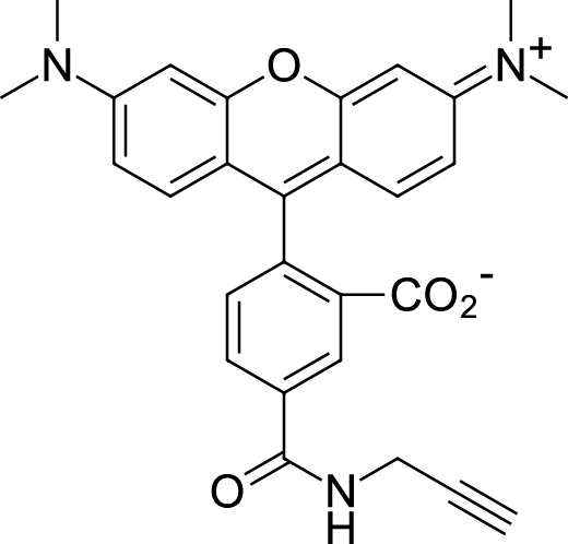 TAMRA alkyne, 5-isomer Chemical Structure