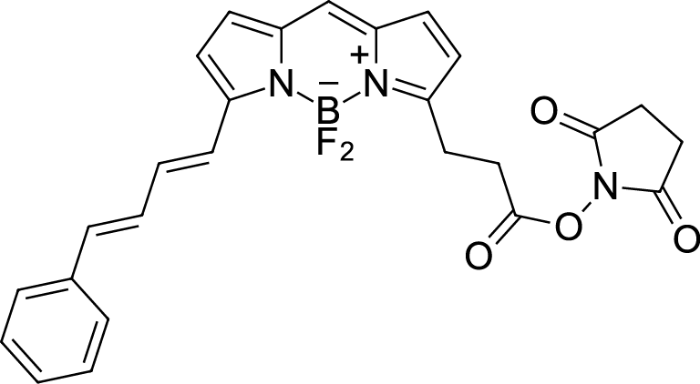 BDP 581/591 NHS ester Chemical Structure