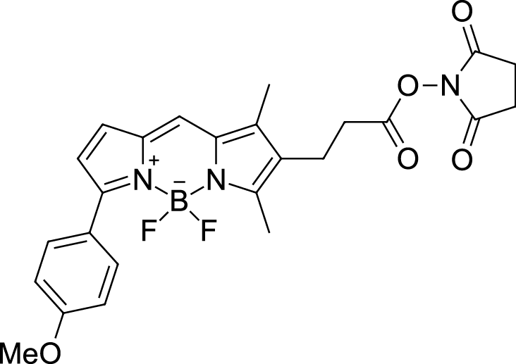 BDP TMR NHS ester Chemical Structure