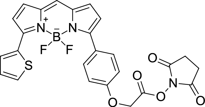 BDP TR NHS ester Chemical Structure