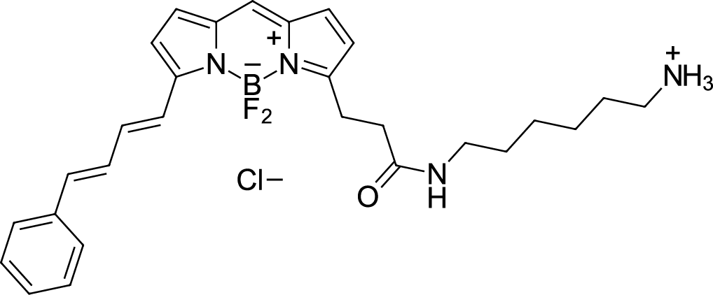 BDP 581/591 amine Chemical Structure