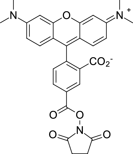 TAMRA NHS ester, 5-isomer Chemische Struktur