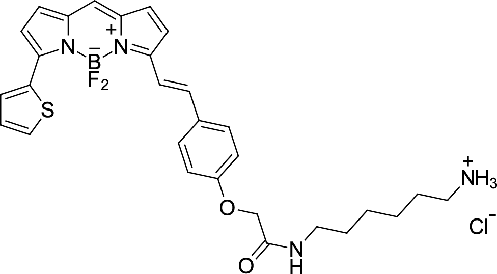 BDP 630/650 amine Chemical Structure