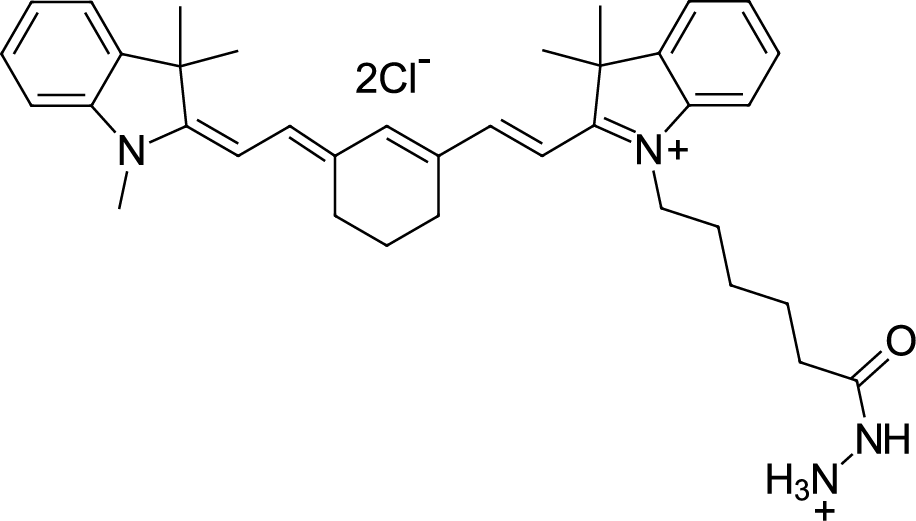 Cyanine7 hydrazide Chemical Structure