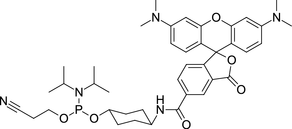 TAMRA phosphoramidite, 5-isomer Chemical Structure