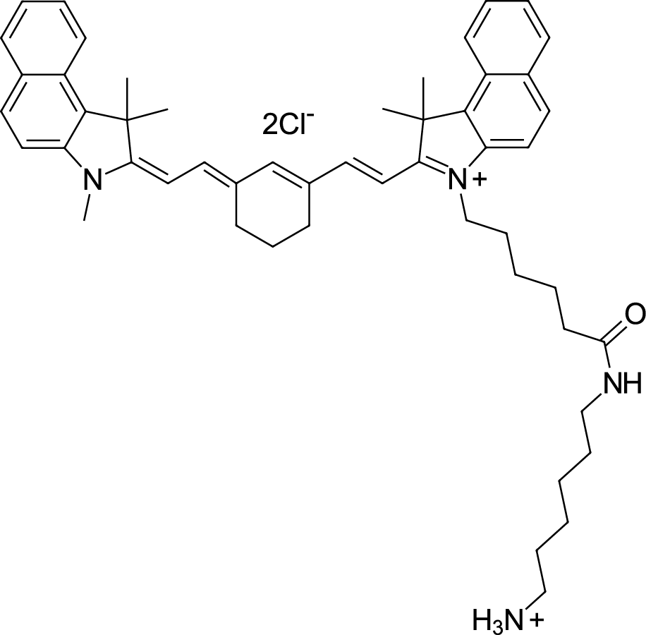 Cyanine7.5 amine Chemical Structure