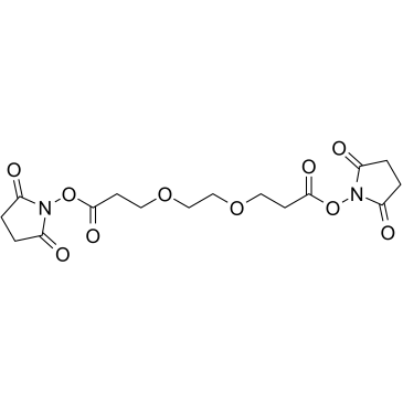 Bis-PEG2-NHS ester 化学構造