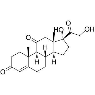 Cortisone Chemische Struktur