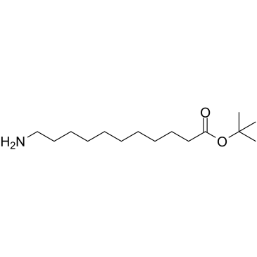 tert-Butyl 11-aminoundecanoate Chemical Structure