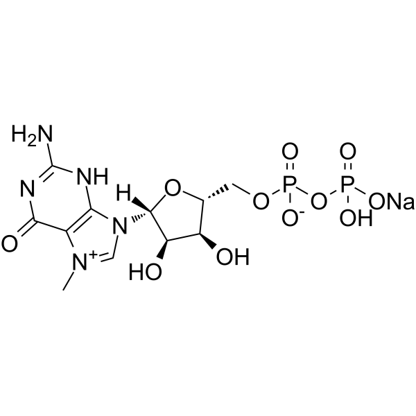 7-Methylguanosine 5’-diphosphate sodium Chemical Structure