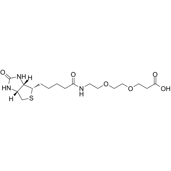 Biotin-PEG2-acid 化学構造