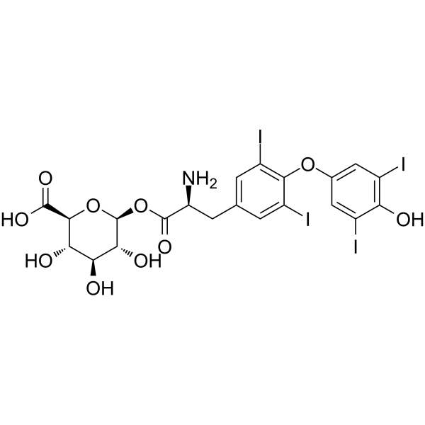 Levothyroxine acyl glucuronide التركيب الكيميائي