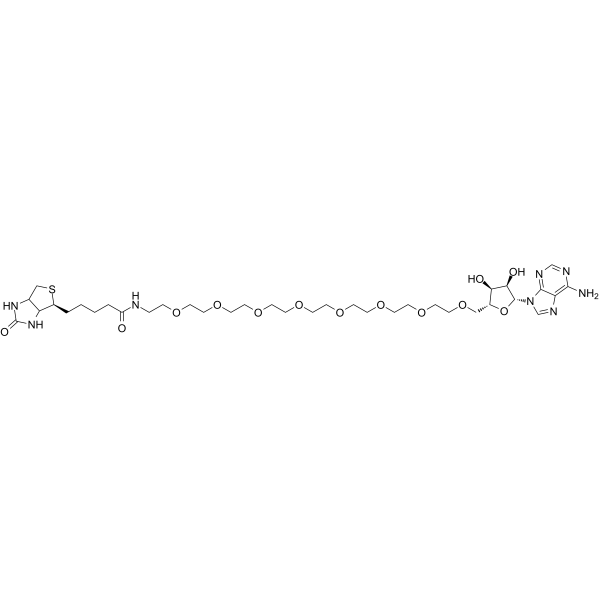 Biotin-PEG8-Vidarabine 化学構造