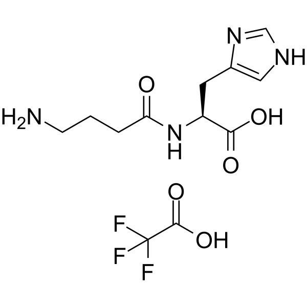 Homocarnosine TFA Chemical Structure