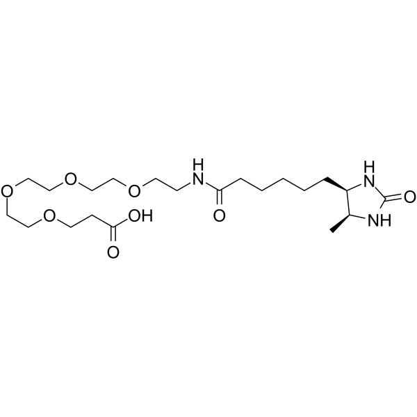 Desthiobiotin-PEG4-acid 化学構造