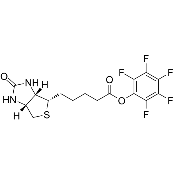 Biotin-PFP ester 化学構造