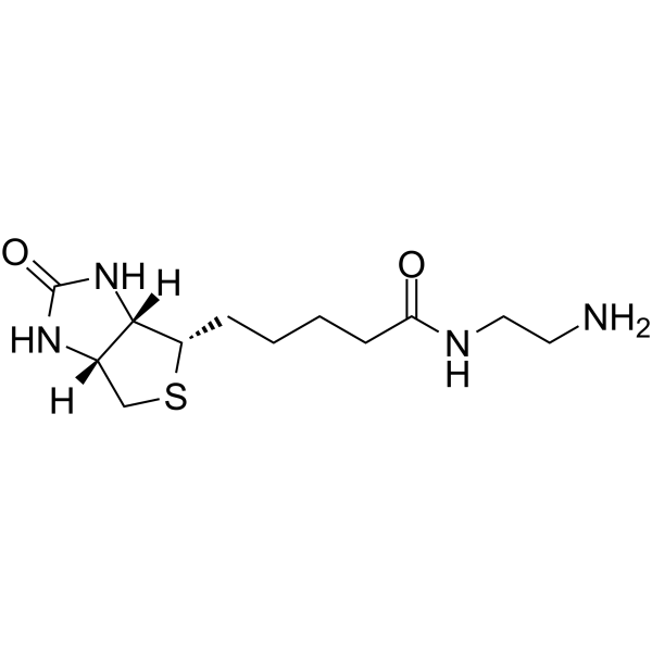 Biotin-EDA Chemical Structure