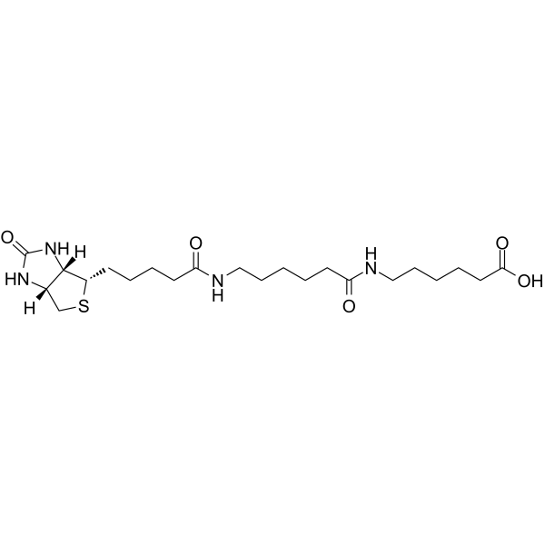 Biotin-C5-amino-C5-amino التركيب الكيميائي