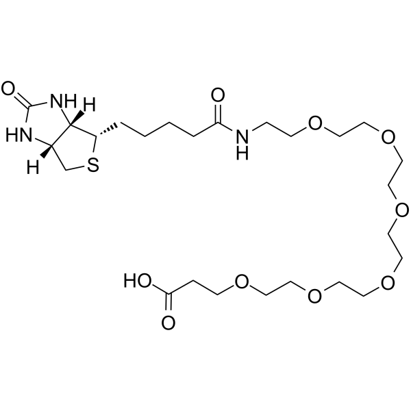 Biotin-PEG6-acid Chemische Struktur