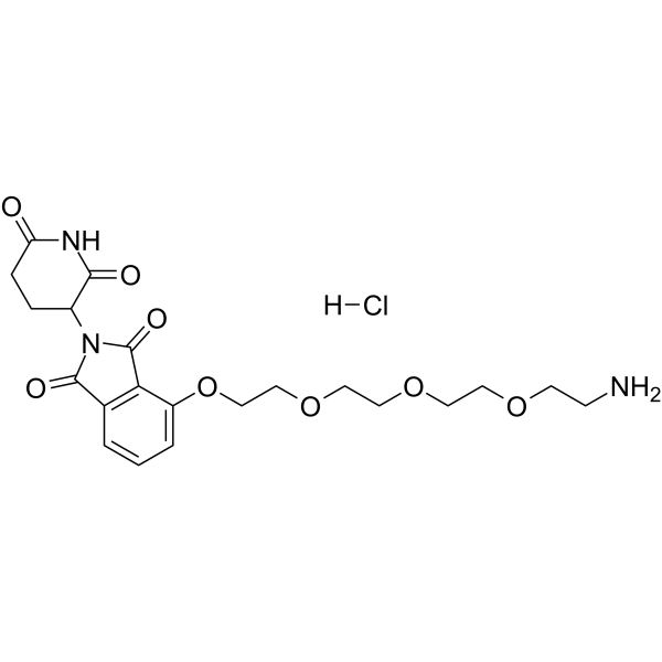 Thalidomide-PEG4-NH2 hydrochloride Chemical Structure