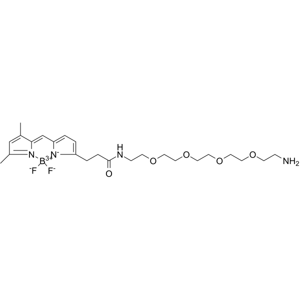 BDP FL-PEG4-amine التركيب الكيميائي