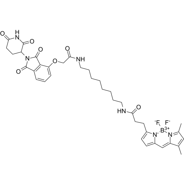 BODIPY FL thalidomide التركيب الكيميائي