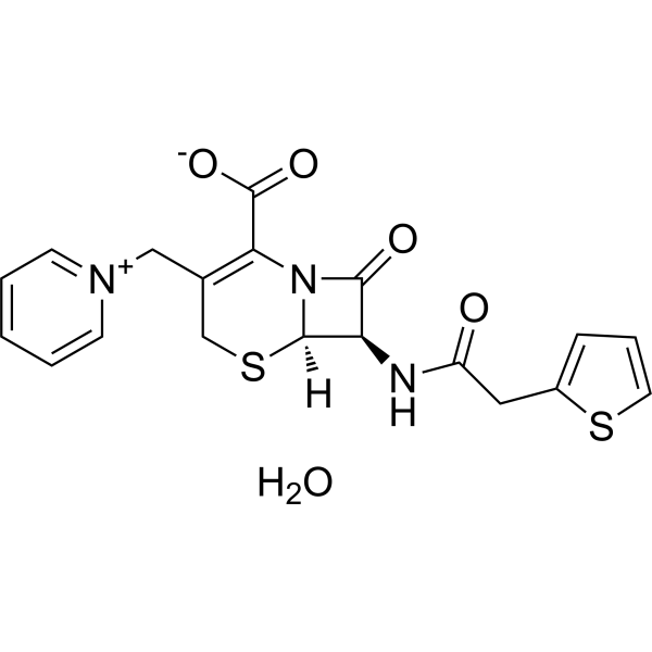 Cephaloridine hydrate  Chemical Structure