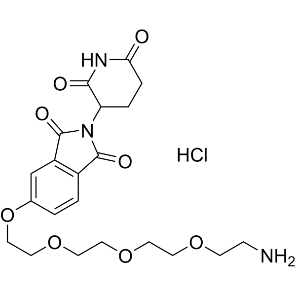 Thalidomide-5-PEG4-NH2 hydrochloride التركيب الكيميائي