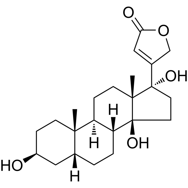 17α-Hydroxydigitoxigenin التركيب الكيميائي