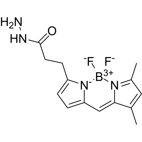 BODIPY FL hydrazide Chemical Structure