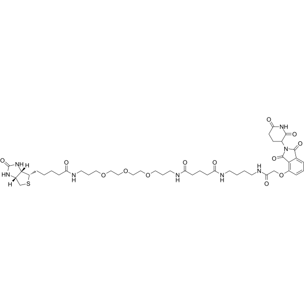 Biotin-Thalidomide 化学構造