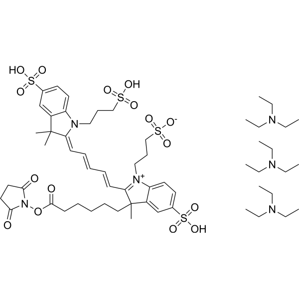 AF647-NHS ester triTEA Chemical Structure