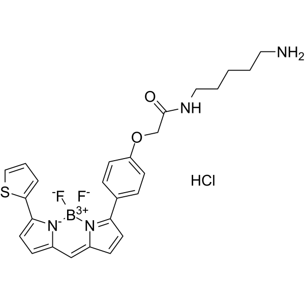 BODIPY TR Cadaverine 化学構造