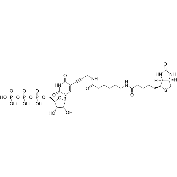 Biotin-11-UTP 化学構造