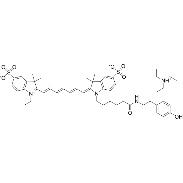 Cy7 tyramide Chemische Struktur