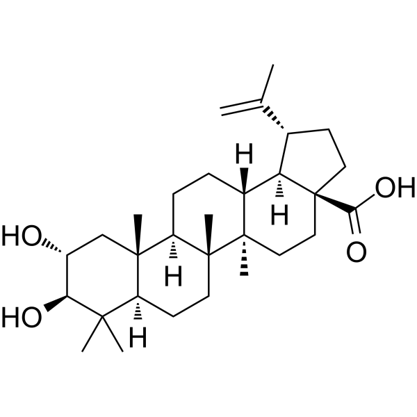 Alphitolic acid Chemical Structure