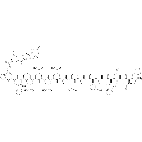 Biotin-Gastrin-1, human (1-17) 化学構造