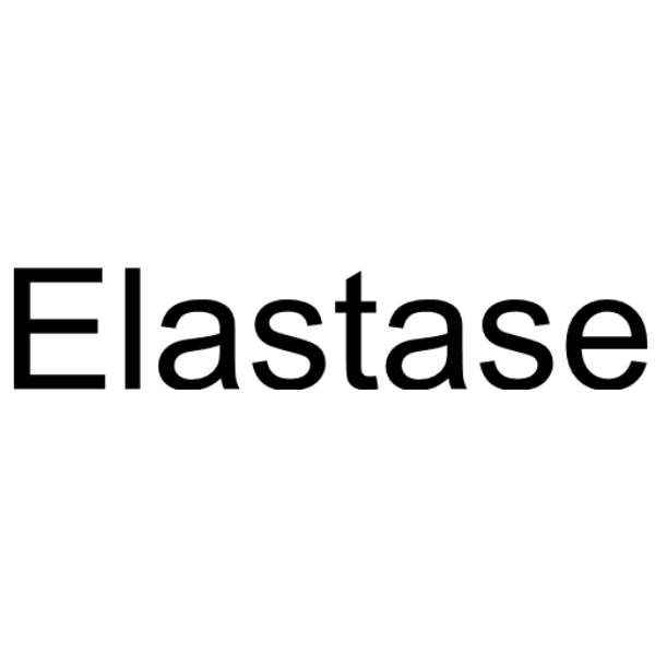 Elastase Chemische Struktur